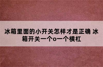 冰箱里面的小开关怎样才是正确 冰箱开关一个o一个横杠